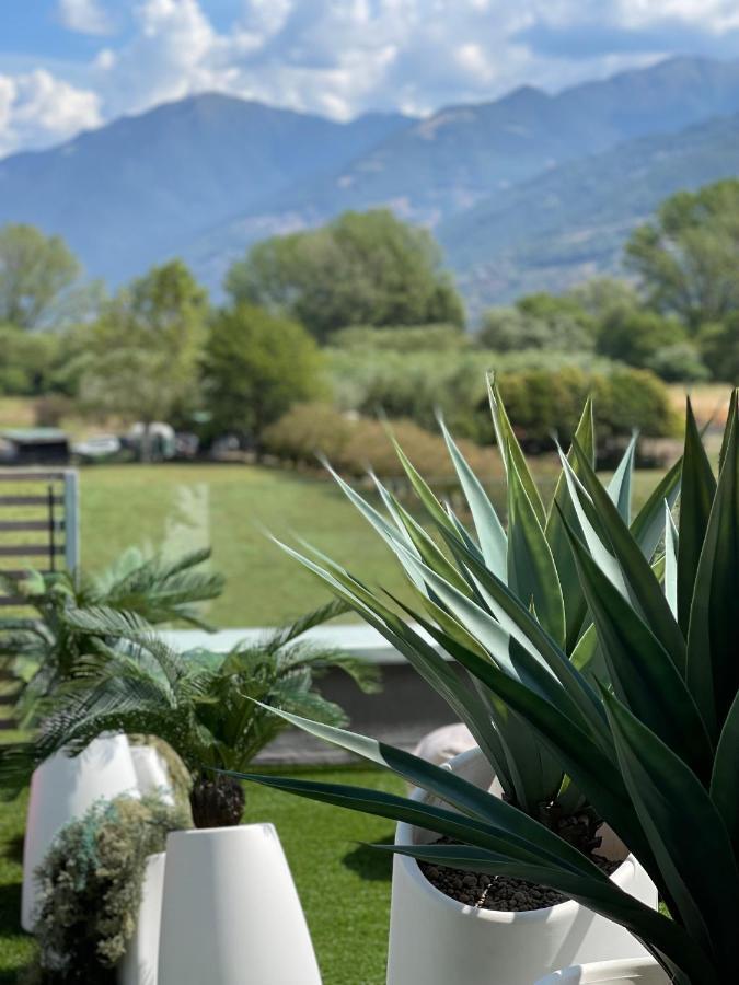 Art B&B Design Costa Volpino Luaran gambar